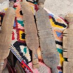 Photo taken by Hayley B