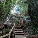 Photo taken by Joe S