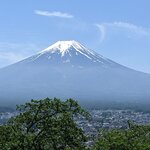 Photo taken by PADMABEN P