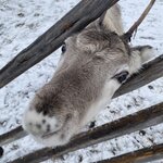 Photo taken by chelsea t