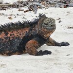 Photo taken by Debby D