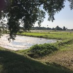 Photo taken by shelly s