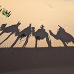 Photo taken by Cynthia D