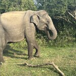 Photo taken by Kari I