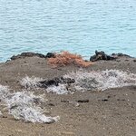 Photo taken by Jennifer A