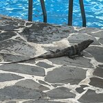 Photo taken by Joyce C