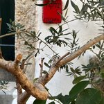 Photo taken by Raquel K