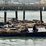 Photo taken by Silvain B