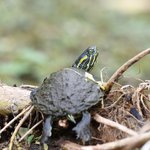 Photo taken by Graeme W