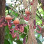 Photo taken by Brett F