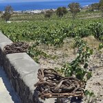 Photo taken by Candi S