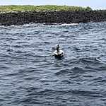 Photo taken by Meggan M