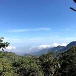 Early morning birding | Photo taken by Sophie E