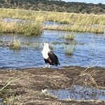 Photo taken by rhonda c