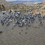 Photo taken by Rita W