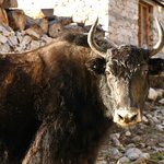 Photo taken by Tyler W