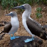 Photo taken by Sharon J