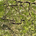 Photo taken by Ben B