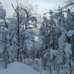 Photo taken by Monique V