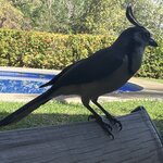 Photo taken by Kristen L