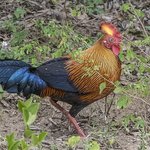 Photo taken by Graham D