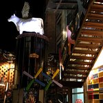 Photo taken by Sophie E