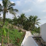 Photo taken by Kristin M