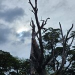 Photo taken by Devon B