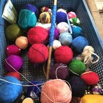 Photo taken by Shaula L