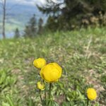 Photo taken by Laura H