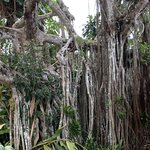 Photo taken by Julie H