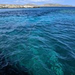 Photo taken by PADMABEN P