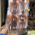 Photo taken by Arlan W