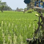 Photo taken by Dixie W