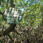 Photo taken by amny g