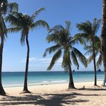 Photo taken by Izabella L