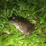 Photo taken by Alexia M