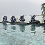 Photo taken by Nancy P