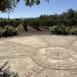 Photo taken by Rebecca E