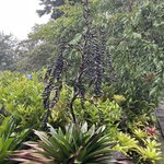 Photo taken by Alexia M