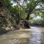 Photo taken by prakash m