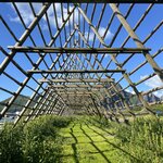 Photo taken by Noreen L