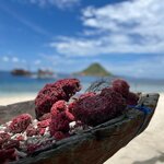 Photo taken by Judith D