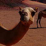 Photo taken by Sarah m