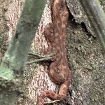 Photo taken by christy l