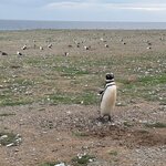 Photo taken by Jennifer C