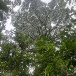 Photo taken by Kim L