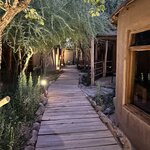 Photo taken by Randall D