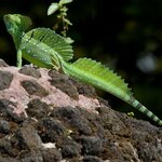 Photo taken by Gill P