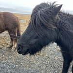 Photo taken by Cathy W